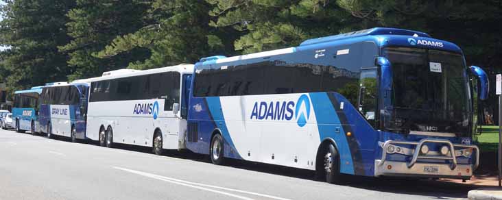 Adams BCI C98